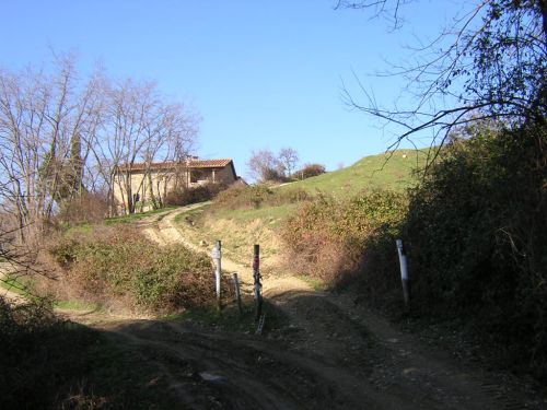 Archisio - Progettista Marco Bassi - Geometra - Dicomano FI