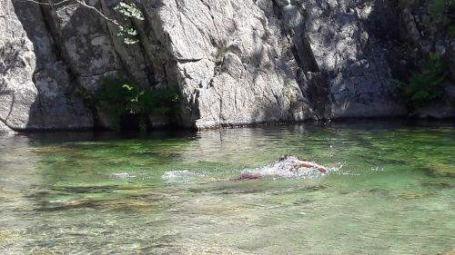 Archisio - Rivenditore Profilgreen srl - Pavimenti e Rivestimenti - San Giuliano Milanese MI