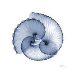 Archisio - Progettista Startrender - Disegnatore 3D - Napoli NA