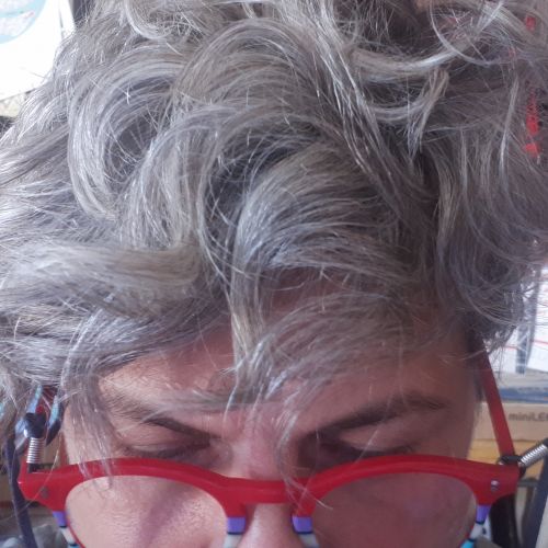 Archisio - Progettista Stefania Cerri Archistestudio - Architetto - Brugherio MB