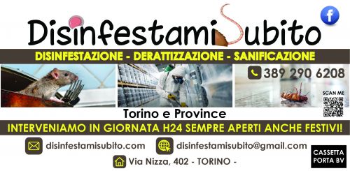 Archisio - Impresa Cotugno Eugenio Emanuel - Altro - Torino TO