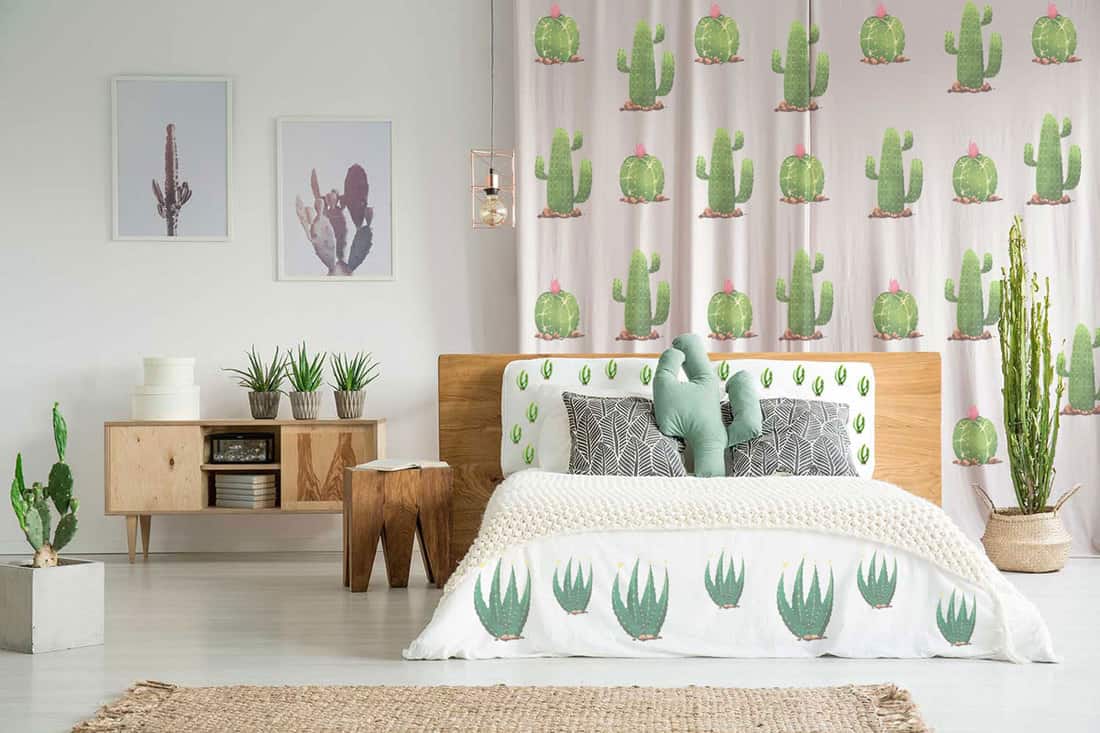 Cactus sui tessuti per arredare casa