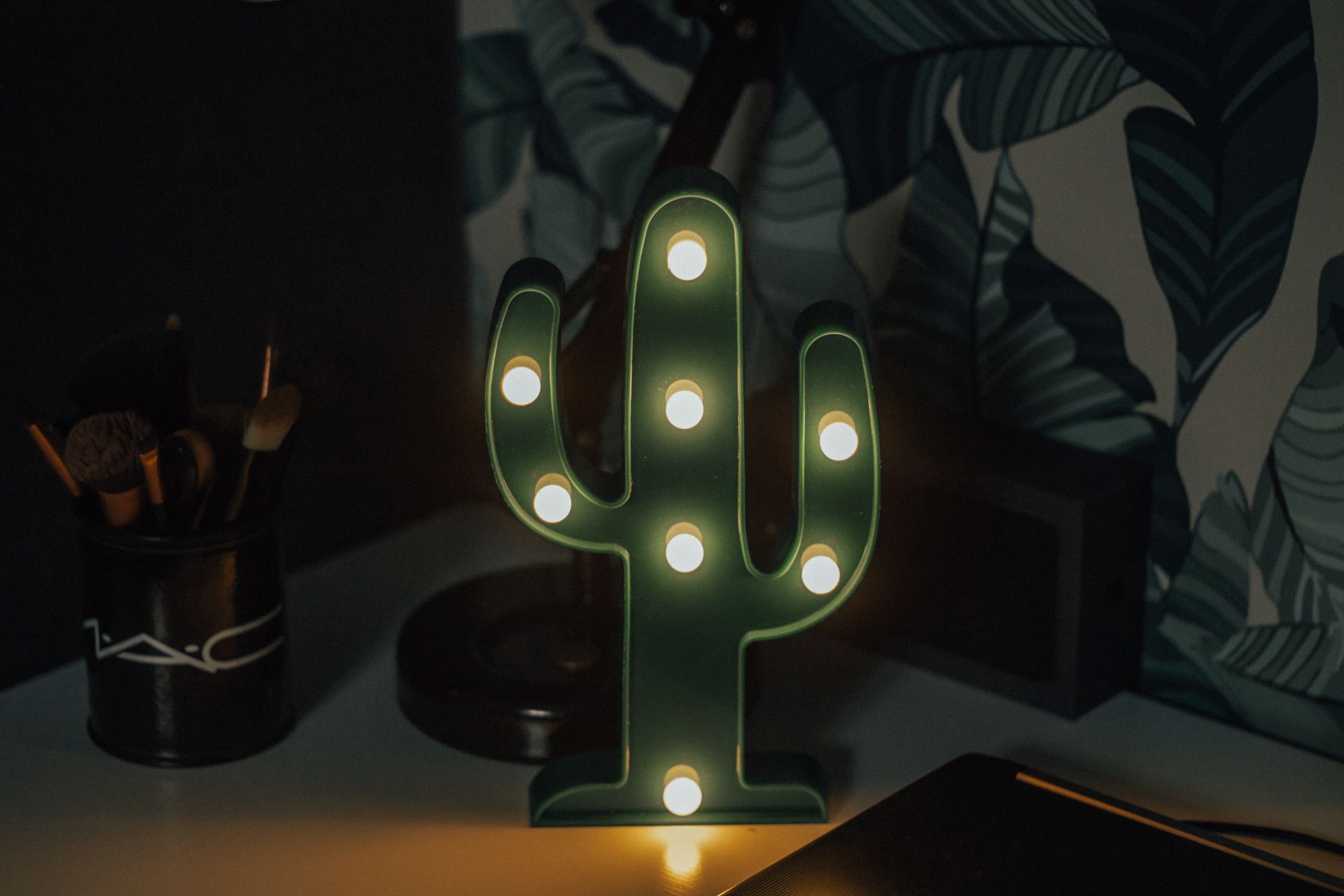 Cactus mania per luci in casa