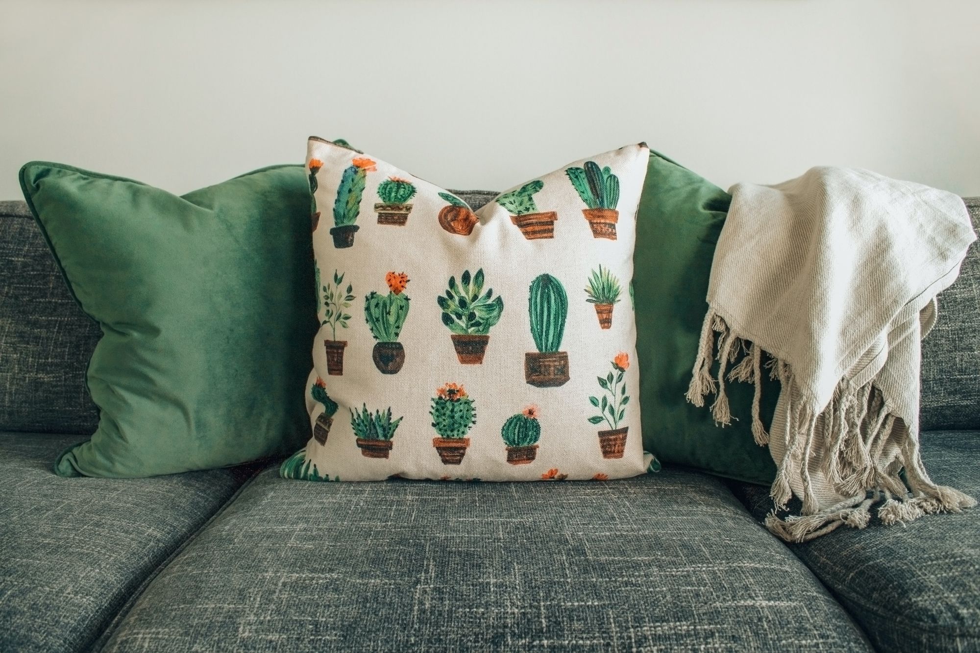 Cactus: cuscini decorativi per arredare casa