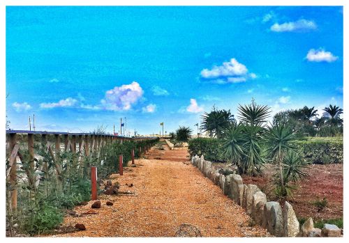 Archisio - N38 Laboratorio Di Architettura - Progetto Giardino edon