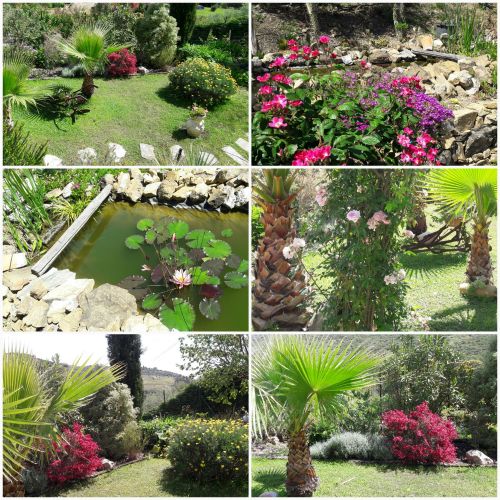 Archisio - Ester Dagostino - Progetto Giardino privato