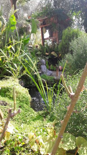 Archisio - Ester Dagostino - Progetto Giardino