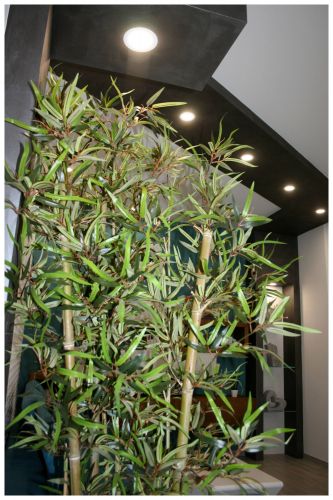 Archisio - Architecture Lab Studio Delling Vincenzo Calvo - Progetto Progetto di design per la ristrutturazione di un edificio storico