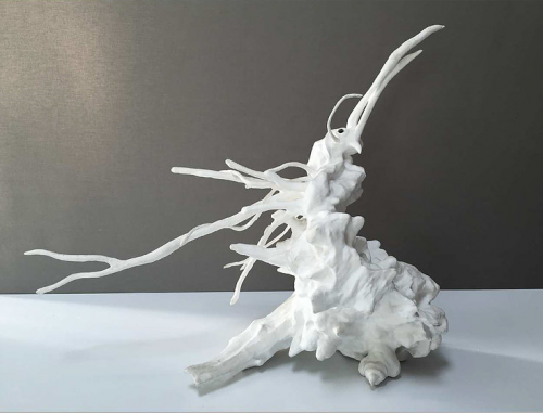 Archisio - Mariolina Fumo - Progetto Creatures