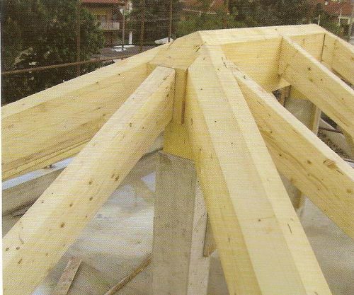 Archisio - Perlecase - Progetto Tetti e case in legno
