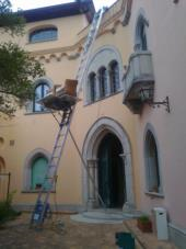 Archisio - Trasmel Traslochi - Progetto Traslochi