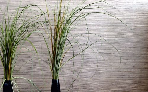 Archisio - Dogliani Imbiancature - Progetto Imbiancature