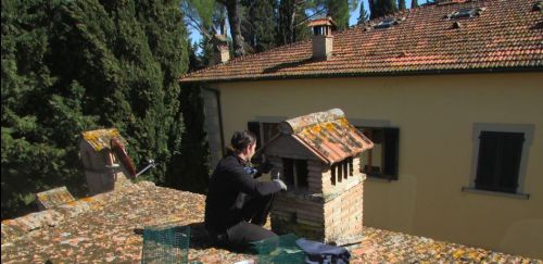Archisio - Mister Spazzacamino - Progetto Applicazione reti rimozione nidi