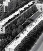 Archisio - Officina Dellarte - Progetto Anno 1998 la casa intorno agli alberi - romaArch Ilaria gatti