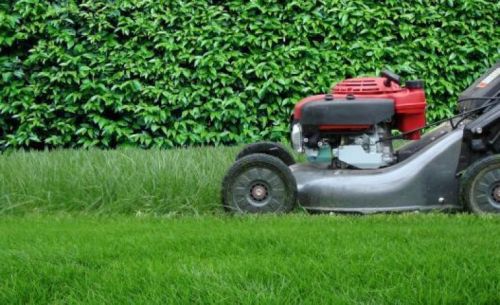 Archisio - Puliservice Trento - Progetto Giardinaggio