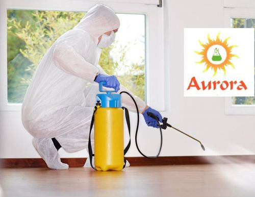 Archisio - Aurora Disinfestazioni - Progetto Interventi per gli ambienti