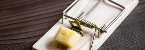 Archisio - Giesse Disinfestazioni - Progetto Trappole ad accessori