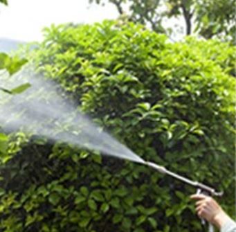 Archisio - Giardiniere Di Verdecchia Danilo - Progetto Disinfestazioni