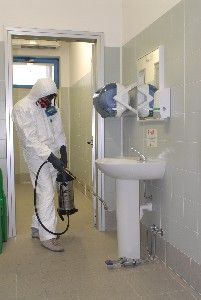 Archisio - Limpresa Ostorero srl - Progetto Derattizzazioni