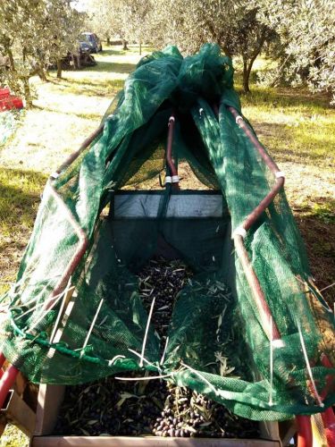 Archisio - Capretto Gian Piero Termoidraulica - Progetto Vari collaudi da gian piero capretto