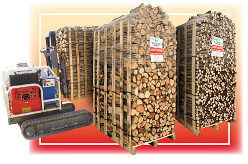 Archisio - Camini Faleburle Legnami srl - Progetto Camini faleburle legnami srl