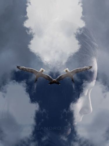 Archisio - Alessandro Donaggio Fine Art Photography - Progetto Metamorfosi