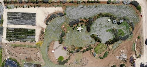 Archisio - Vivaio 983 Piante Mediterranee - Progetto Giardino sperimentale