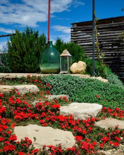 Archisio - Vivaio 983 Piante Mediterranee - Progetto Fiori