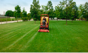 Archisio - Verde Acqua - Progetto Manutenzione del verde