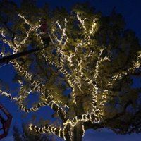 Archisio - Progetto Verde Di Papa Michele - Progetto Progetto verde di papa michele