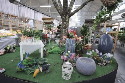 Archisio - Piante Macri - Progetto Il garden