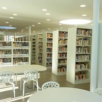 Archisio - Artigiana Legno - Progetto Libreria