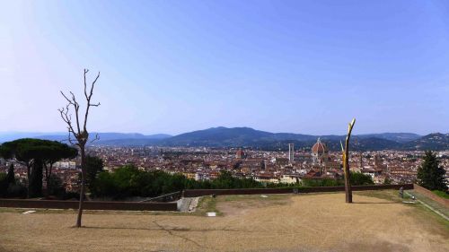 Archisio - Zeno Pucciarchitects - Progetto Mostra prospettiva vegetale giuseppe penone