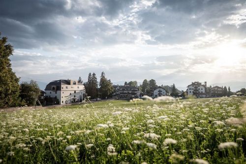 Archisio - Noa Network Of Architecture - Progetto Gloriette un hotel da viaggio nel tempo