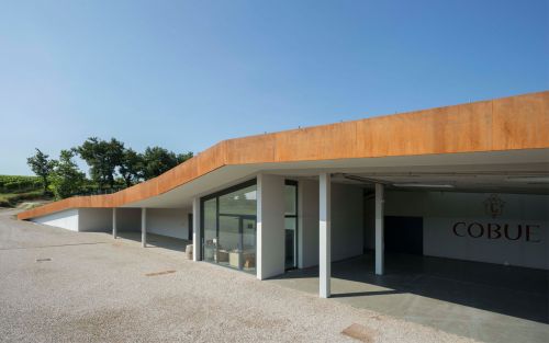 Archisio - Manuel Benedikter - Progetto Vineyard cobue