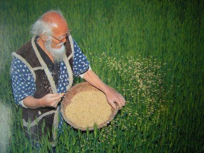 Archisio - Il Cambiamento - Progetto Dallagricoltura che distrugge la natura a quella del non fare il grande insegnamento di fukuoka