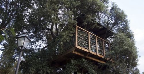 Archisio - Casalberi - Progetto Il leccio