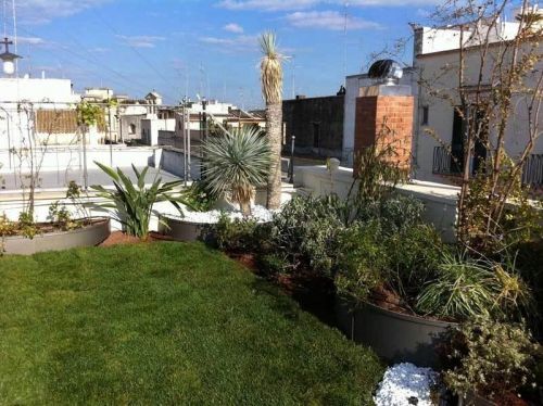 Archisio - Emanuele Carbone - Progetto Giardini piscine e tetti verdi