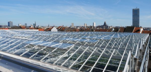 Archisio - Antonella Marchetti - Progetto Ortocultura