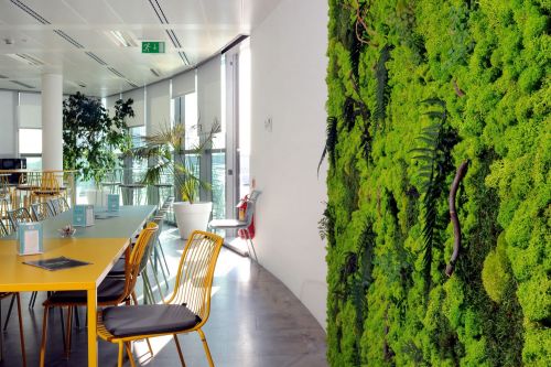 Archisio - Verde Passione - Progetto Pareti quadri vegetali