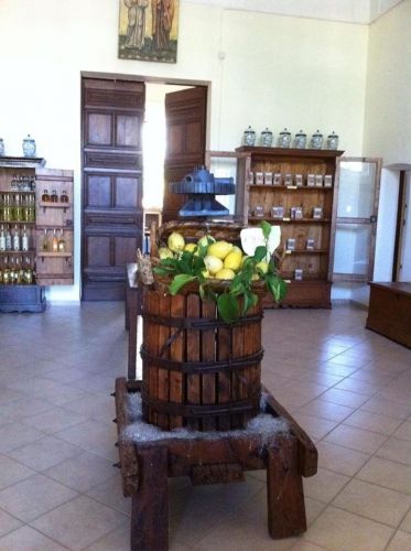 Archisio - Marco Pellegrini - Progetto 2012 - azienda agricola claustrum monastero di santa chiara