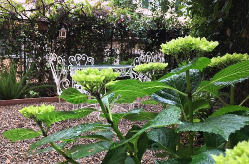 Archisio - Progettare Spazi Verdi - Progetto Unoasi romantica