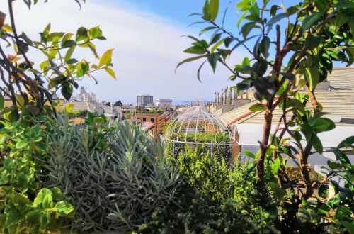 Archisio - Progettare Spazi Verdi - Progetto Profumi e colori