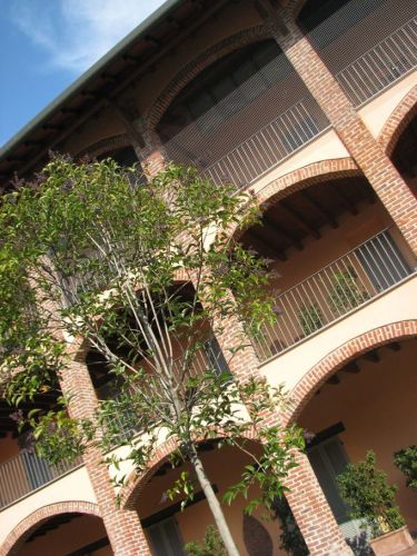 Archisio - Federico Dubini - Progetto Loft generation