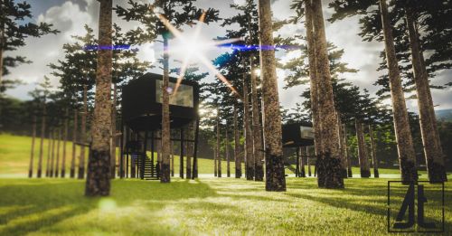 Archisio - St Studio - Progetto The tree house