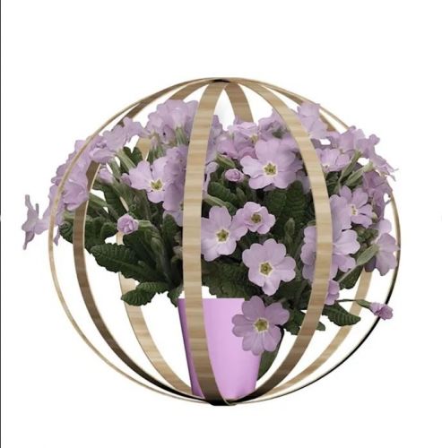 Archisio - Stefania Lorenzini Garden Designer - Progetto Flora globe