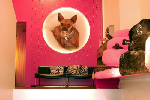 Archisio - Matstudio Dressupyourhome By Matstudio - Progetto 06 for pets only milano