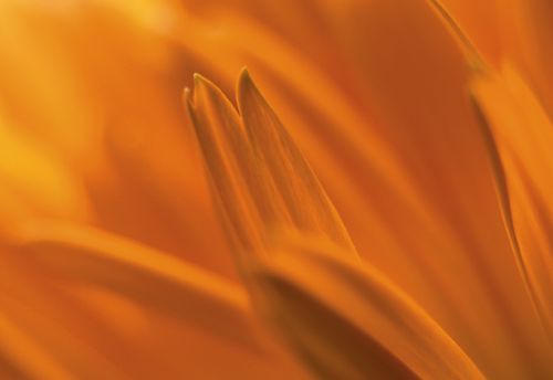 Archisio - Enrico Cano Fotografo - Progetto Emotion