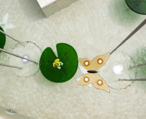 Archisio - Forme Dacqua - Progetto Gold flowers - villa privata italia