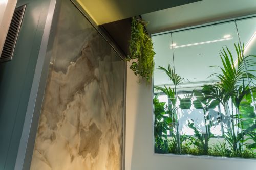 Archisio - Forme Dacqua - Progetto Parete dacqua da interni clinica dentale cappellin torino